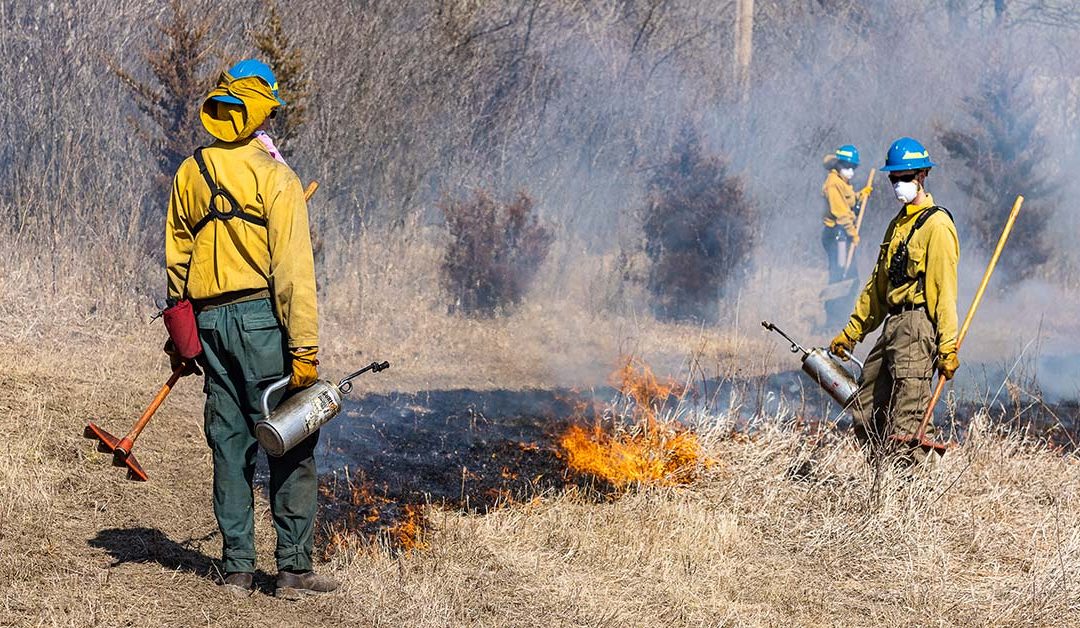 Utilizing Nature’s Toolbox for Restoration with Prescribed Fires