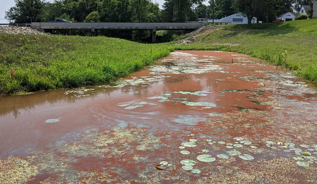 Red Algae Spotted in Dyersville