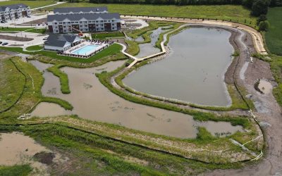 Stormwater Wetland and Evaluation